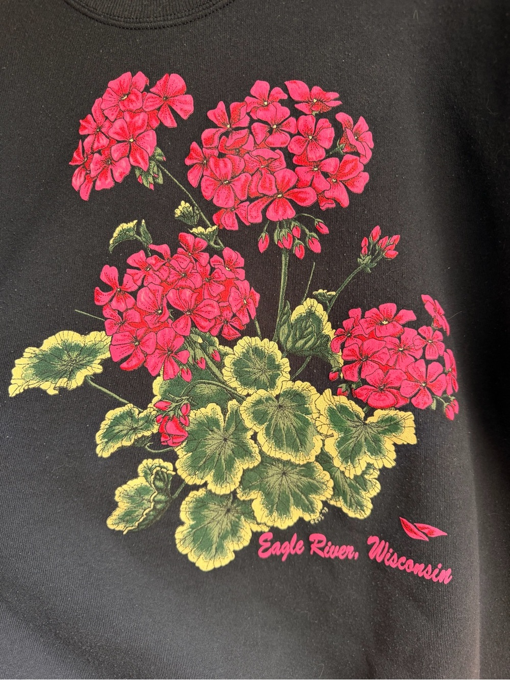 VINTAGE EAGLE RIVER CREWNECK - Picture 2 of 4